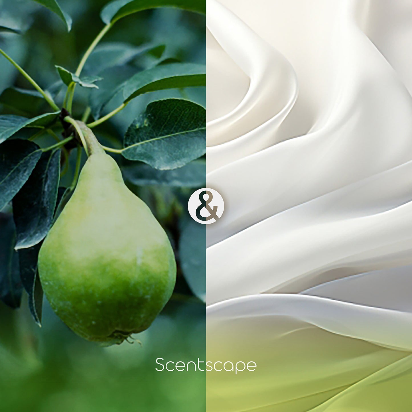 Scentscape - 梨&白麝香